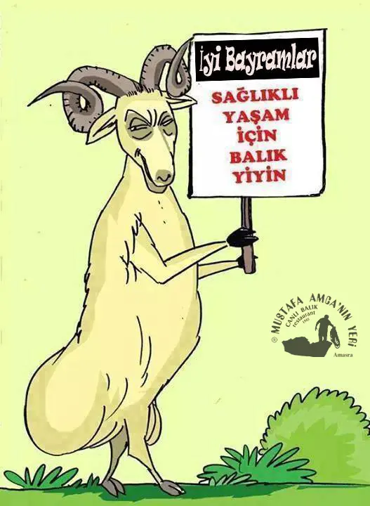 MİSAFİRLERİMİZİN KURBAN BAYRAMINI KUTLAR ESENLİKLER DİLERİZ…